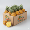 ananas